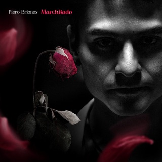 Escuchar Marchitado, de Piero Briones
